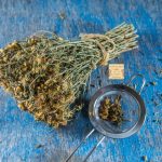 Βάλσαμο (Βαλσαμόχορτο)