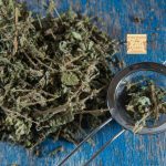 Μελισσόχορτο