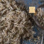 Γαϊδουράγκαθο