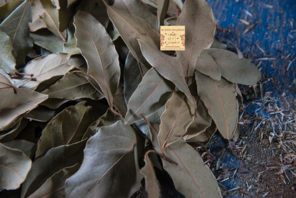 Δάφνη (1)