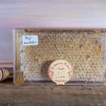 Φρέσκια Κηρήθρα Μέλι Κωνοφόρων κασετίνα (500 γρ.)- μεγάλη